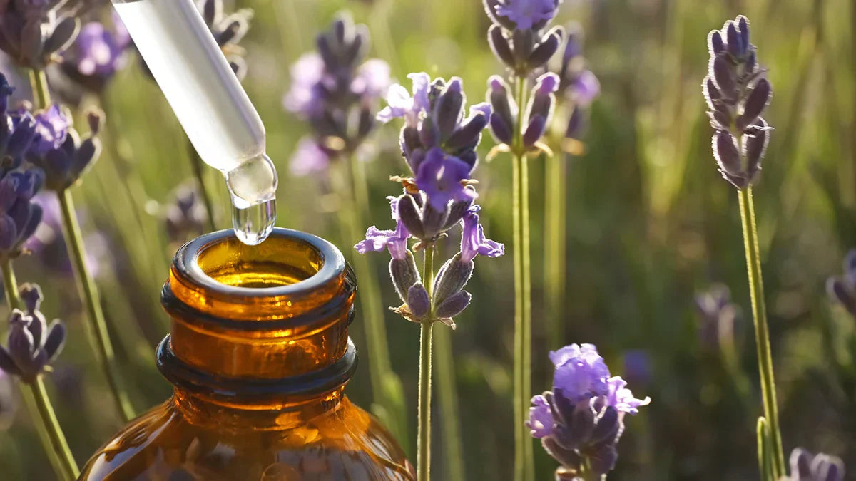 The Power of Scent: Essential Oils for Protection & Peace