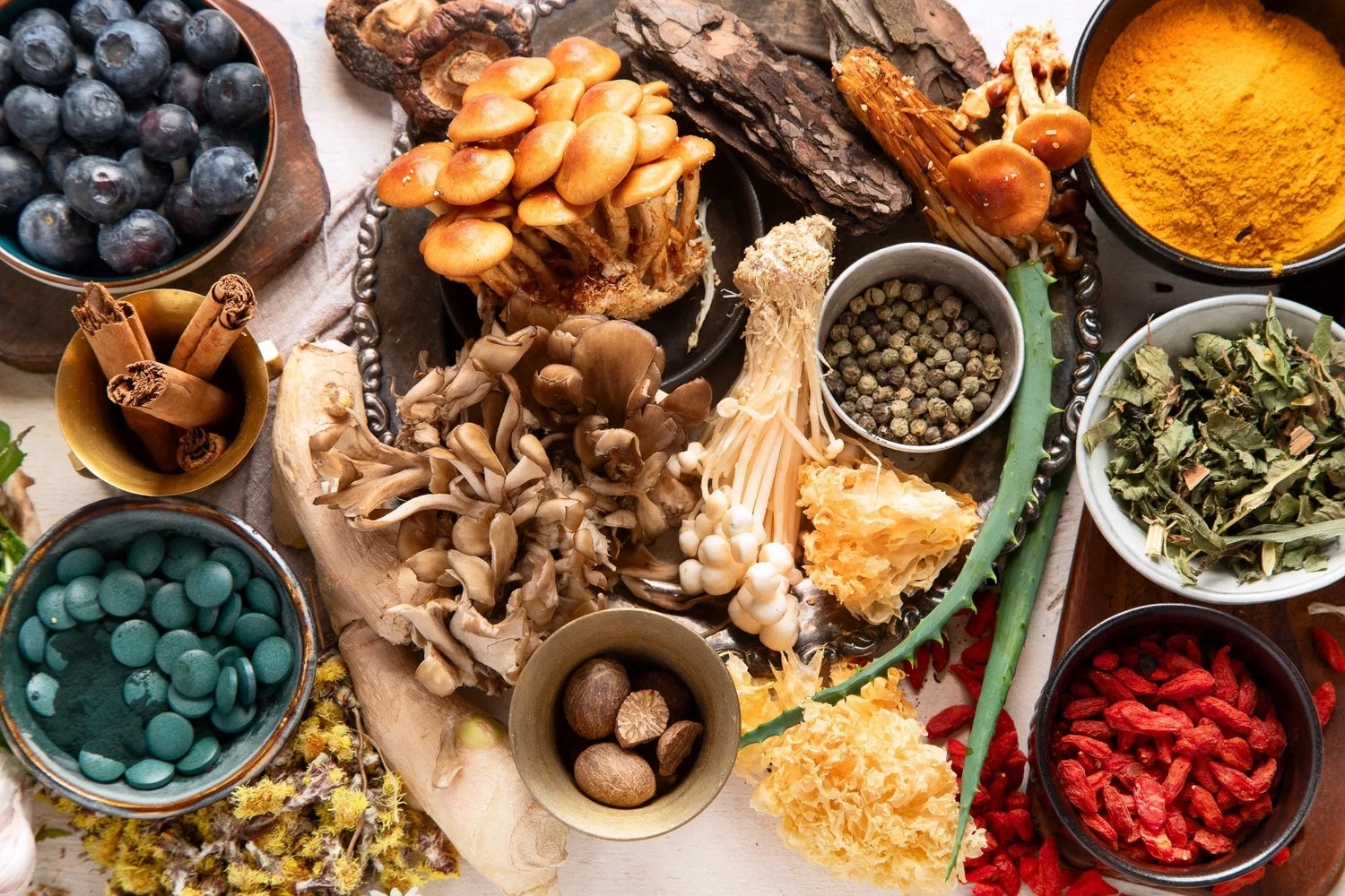 Best Adaptogens for Stress in 2025