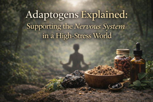 Adaptogenic herbs and tinctures in a peaceful forest scene with a meditating figure, representing stress relief, nervous system support, and wellness