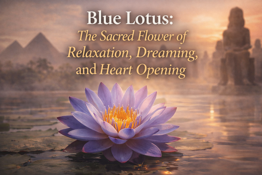 Blue lotus flower floating on water with ancient Egyptian imagery, symbolizing relaxation, dreaming, heart opening, and sacred botanical tradition