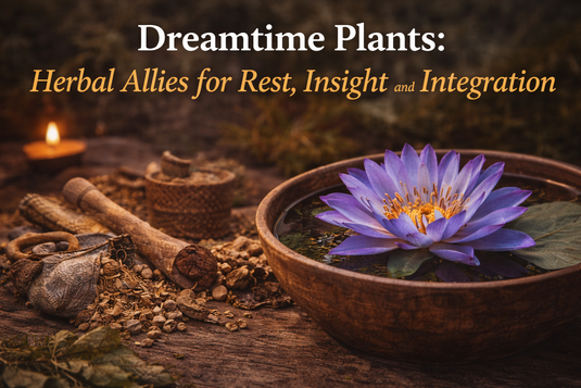 Blue lotus and dream herbs arranged in a calm ritual setting, symbolizing rest, insight, dreamwork, and herbal support for sleep and integration.