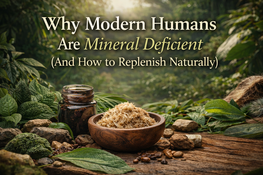 image showing sea moss and shilajit in a natural setting, illustrating mineral deficiency and natural ways to replenish essential trace minerals