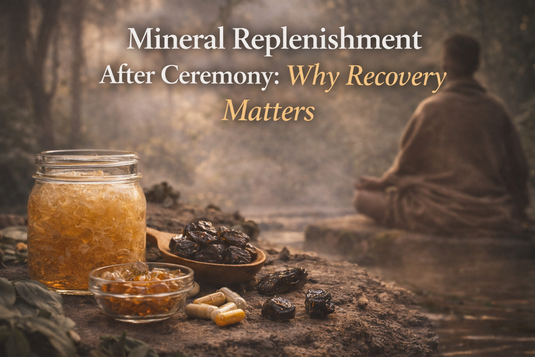 Sea moss, shilajit, and mineral supplements in a tranquil forest setting, symbolizing post-ceremony recovery, grounding, and mineral replenishment.