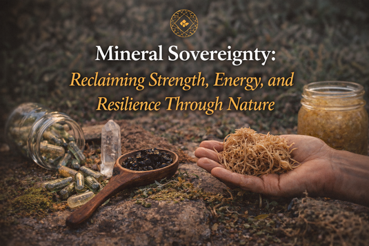 Sea moss, shilajit,  mineral capsules in a natural ritual setting, symbolizing mineral balance, energy, resilience, holistic wellness through nature.