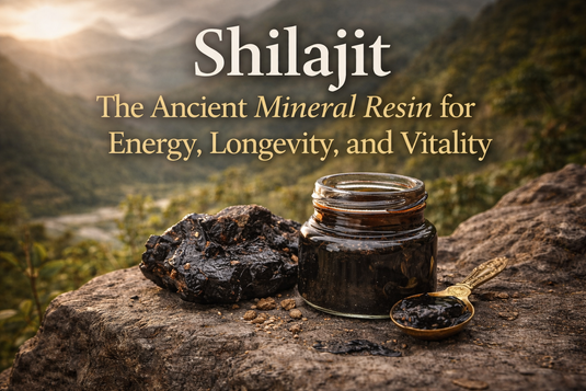 Shilajit resin displayed in a mountain setting, highlighting ancient mineral resin used for energy, vitality, longevity, and natural mineral support.