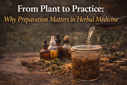 Herbal medicine preparation with hot water, tincture bottles, dried plants, highlighting traditional methods, intention, conscious herbal practice.