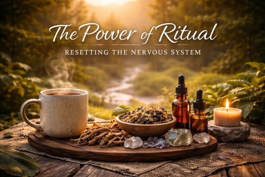Herbal tea, adaptogenic tinctures, and calming ritual elements at sunrise, symbolizing nervous system reset and holistic wellness.