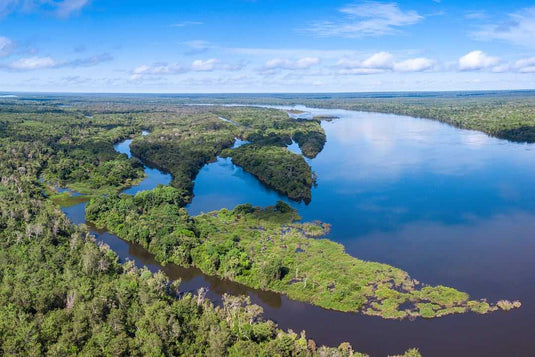 Echoes of the Amazon: Voices From the Artisans Behind the Craft