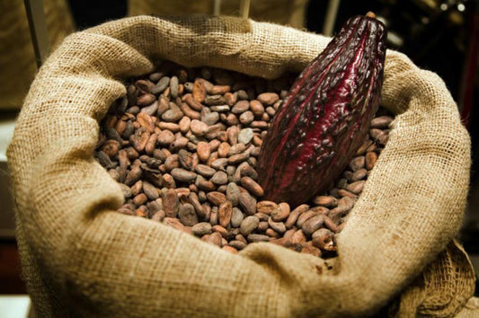 Case Study: How to Turn Cacao into a Full-Time Biz
