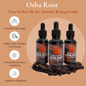 Osha Root Spagyric