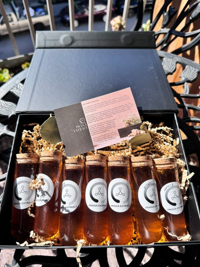 7-Day Sleep Support Program