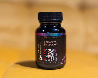 Amanita Muscaria