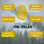 Pine Pollen Spagyric