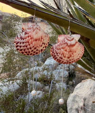 Mermaid Tide Scallop earrings